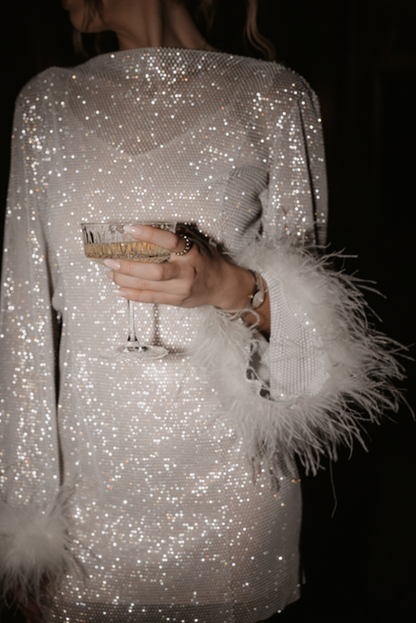 Sparkly Sequin Mesh Mini Dress with Feather Cuffs